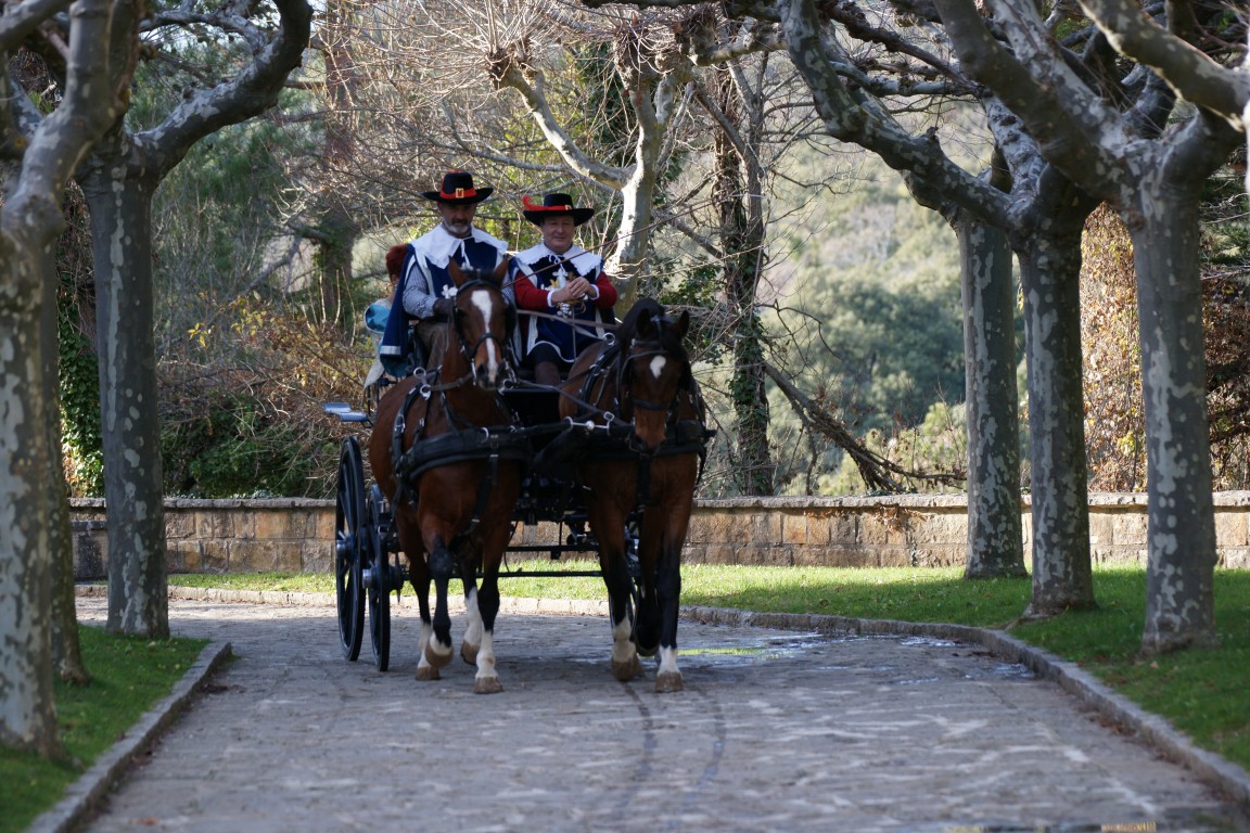 Ruta de los Mosqueteros (12 etapas) - Primer itinerario ecuestre europeo (Navarra: 280 km)